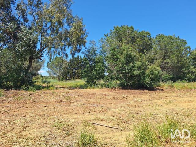 Terrain 2 200 m²