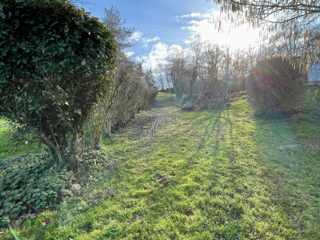 Terrain 2 224 m²