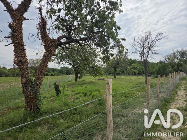 Terrain 2 246 m²
