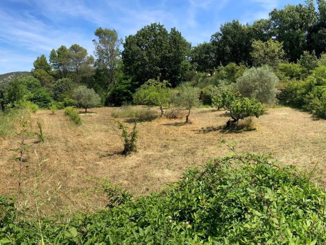 Terrain 2 257 m²