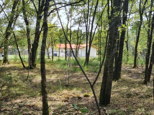 Terrain 2 310 m²