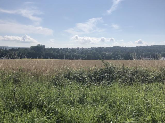Terrain 2 330 m²
