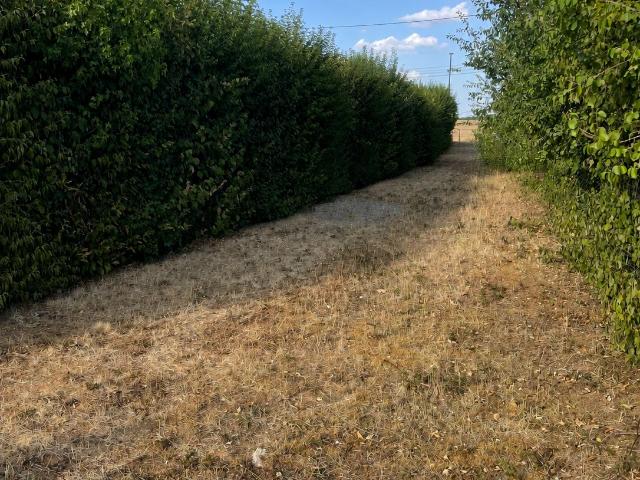 Terrain 2 367 m²