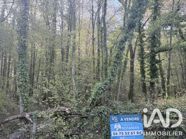 Terrain 2 362 m²