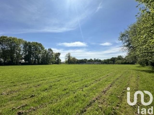 Terrain 2 380 m²