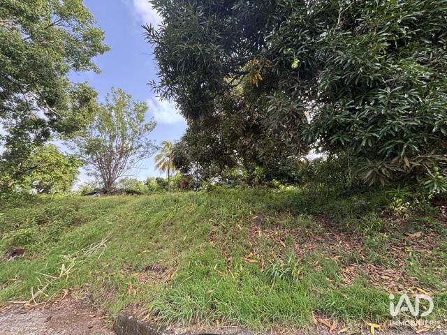 Terrain 2 535 m²