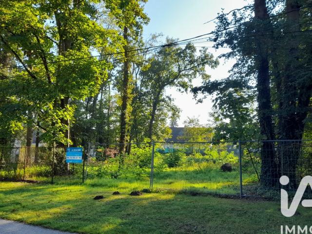 Terrain 2 595 m²