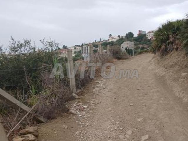 Terrain 2.5h titre a bni wasin mchlawa