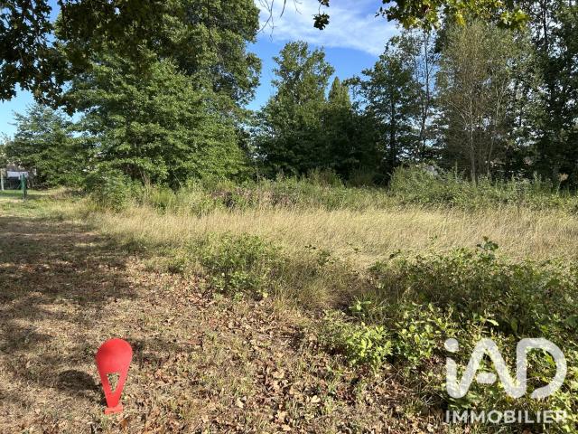 Terrain 2 601 m²