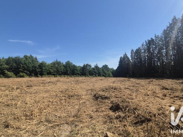 Terrain 2 624 m²