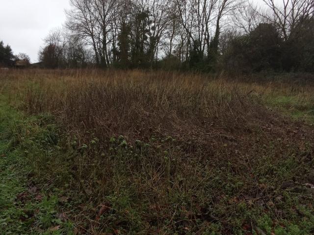Terrain 2 655 m²