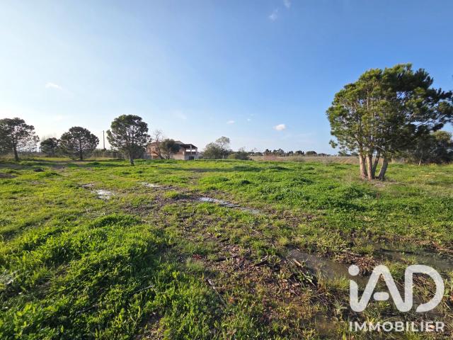 Terrain 2 689 m²