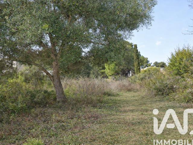Terrain 2 716 m²