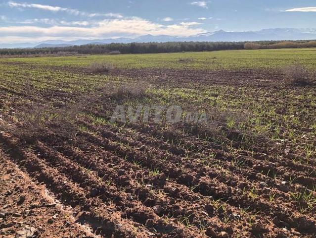 Terrain 2 ha 1700 m² près Marrakech