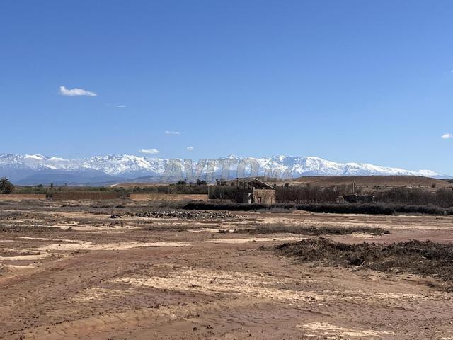 Terrain 2 hectares