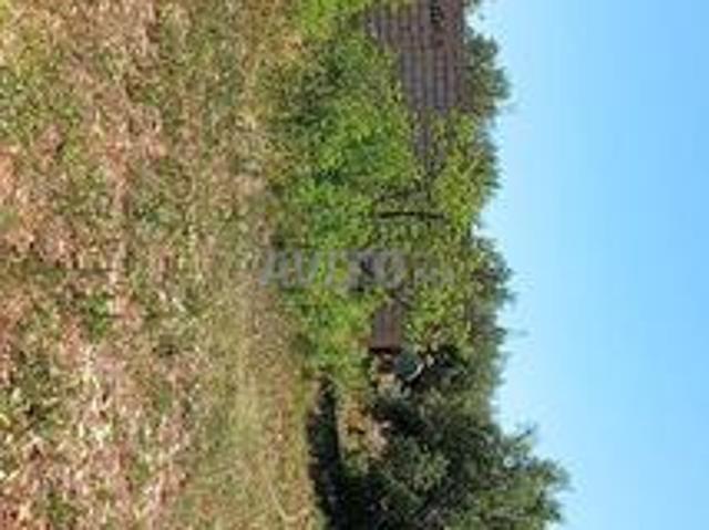Terrain 2 hectares