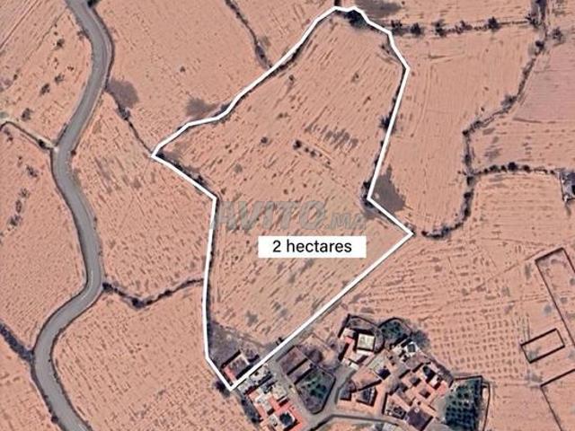 Terrain 2 Hectares à vendre à Issen – Oulad Teima