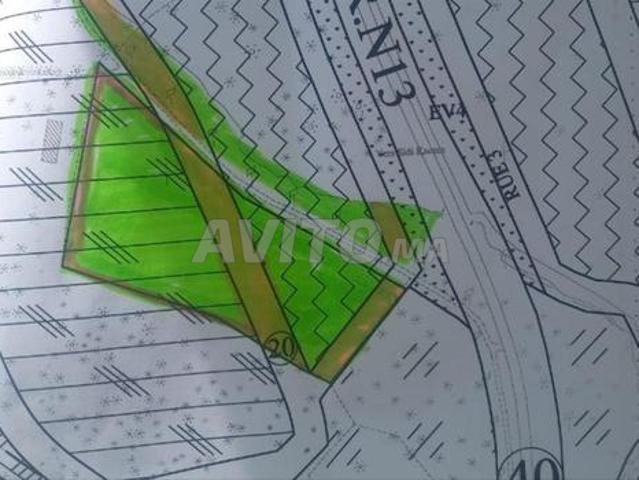 Terrain 2 hectares pour Projet touristique