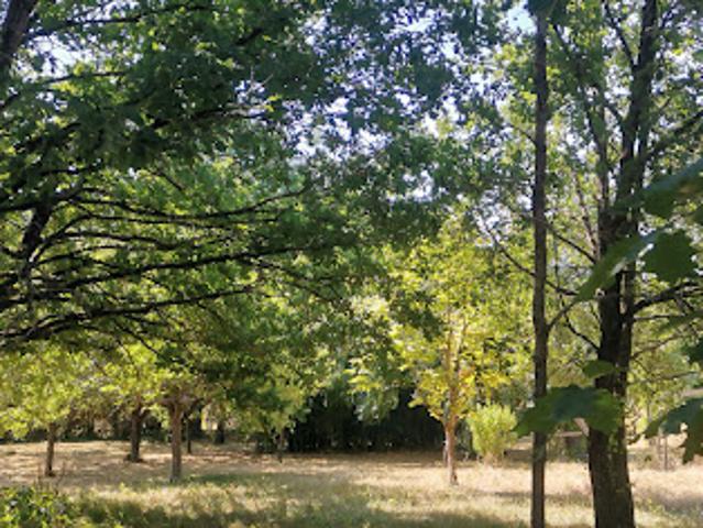 Terrain 3503 m2