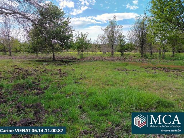 Terrain 350 m2 gastes