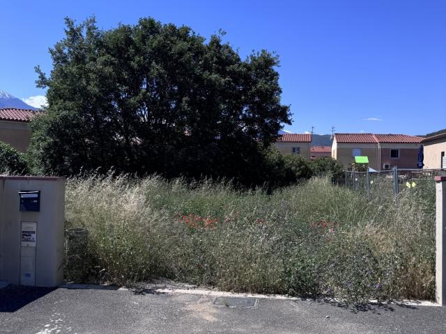 Terrain 350 m²