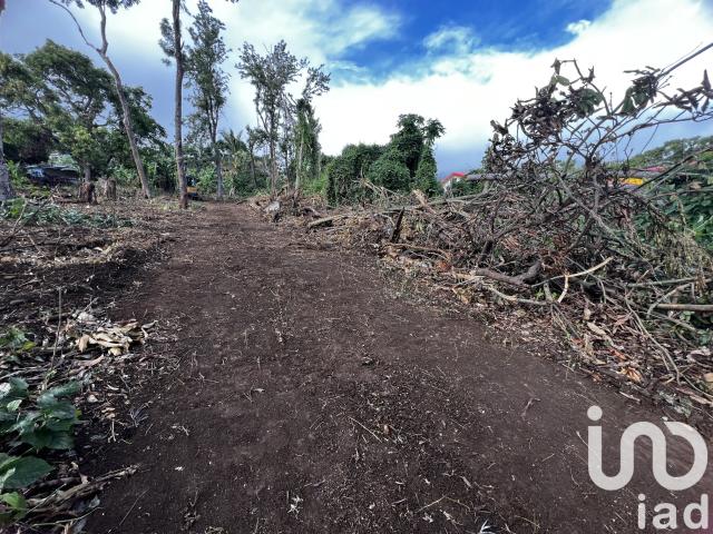 Terrain 350 m²