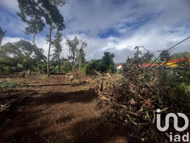 Terrain 356 m²