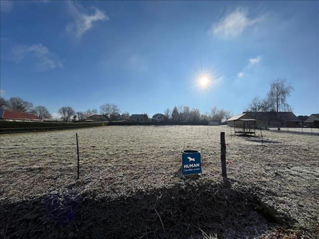 Terrain 3604 m2