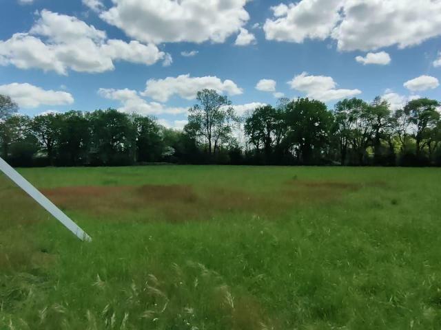 Terrain 367 m²