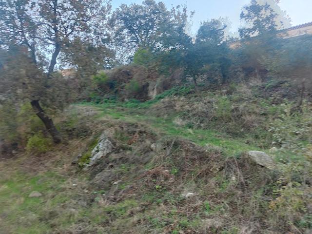Terrain 3646 m2
