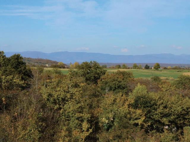 Terrain