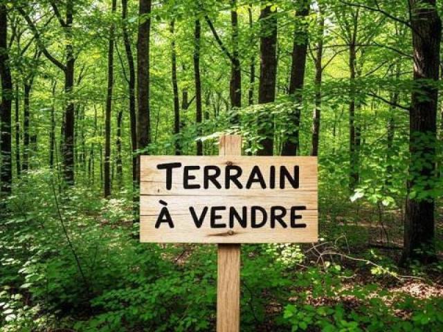 Terrain