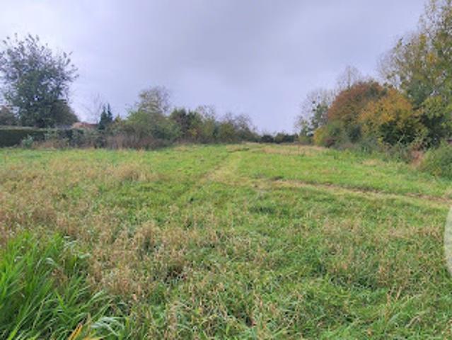 Terrain 3702 m2