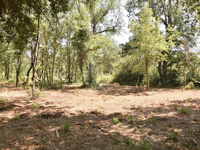 Terrain 3719 m2