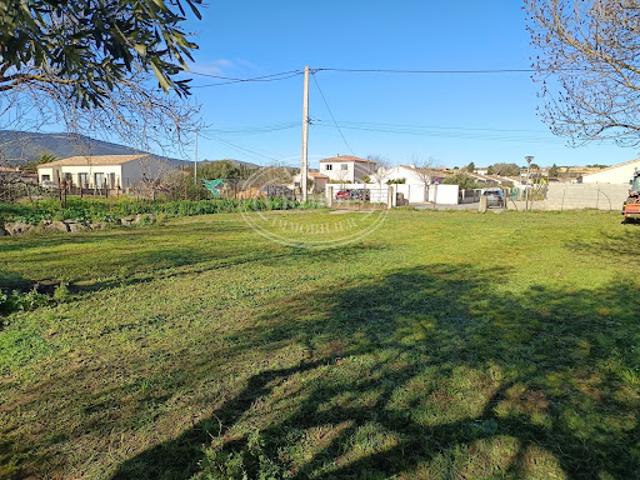 Terrain 3816 m2