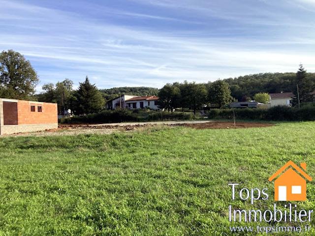 Terrain 3817 m2