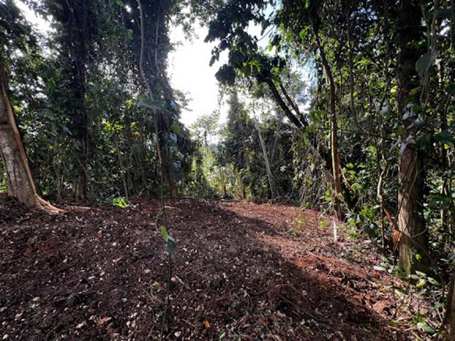 Terrain 3882 m2