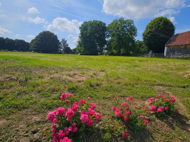 Terrain 3883 m² / DENIER / 62810
