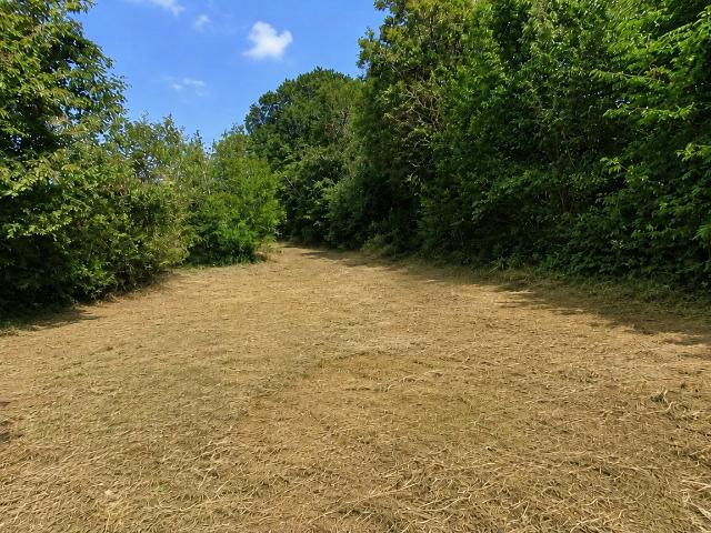 Terrain 388 m²