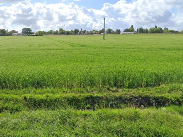Terrain 390 m2 grezac