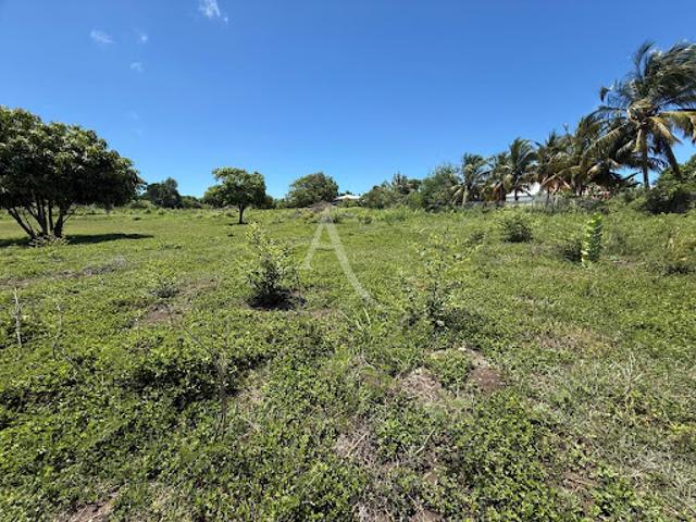 Terrain 3000 m2