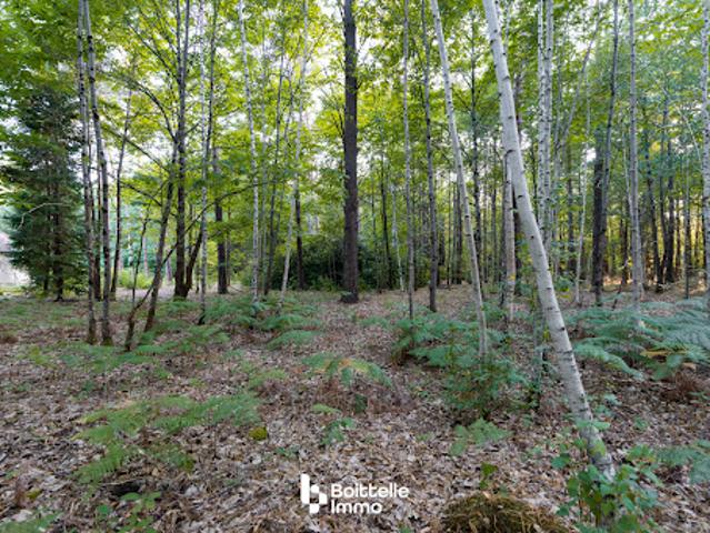 Terrain 3000 m2