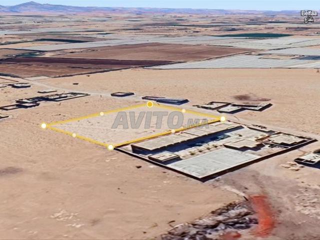 Terrain 3000 m² à vendre à Tin Lqaid – Idéal villa