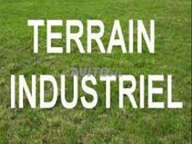 Terrain 3000m et 5000m Industriel Oulad Salah