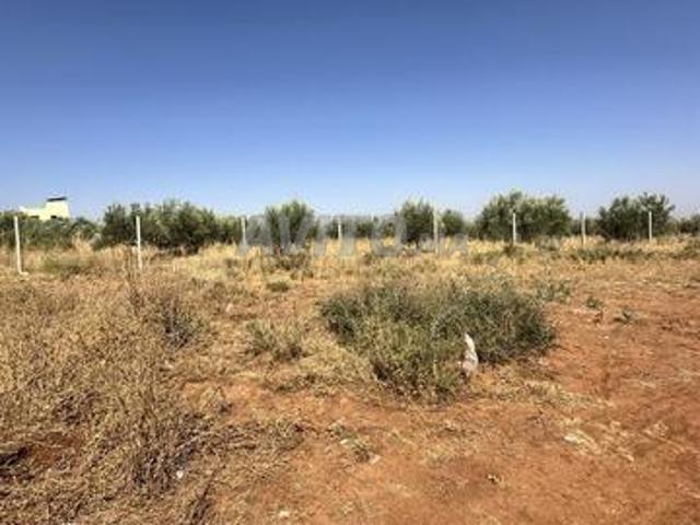 Terrain 300 mètres à vendre sur la route d'Ourika