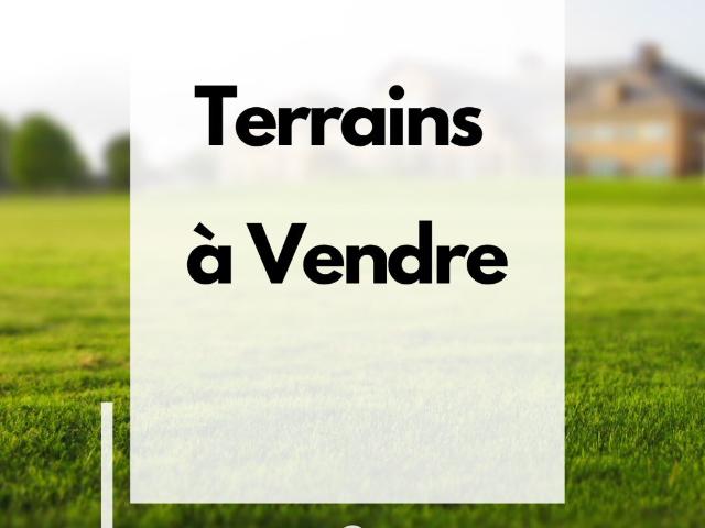 TERRAIN 300M2