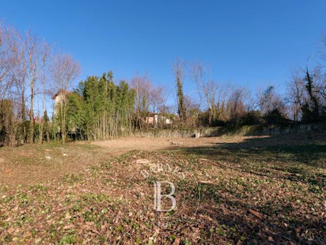 Terrain