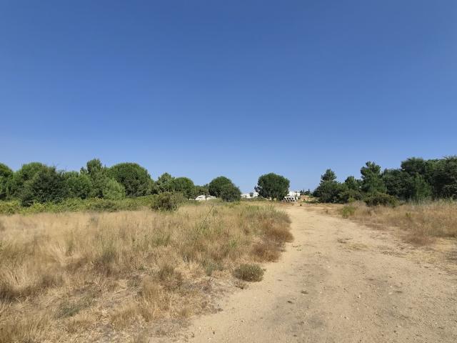 Terrain 308 m²