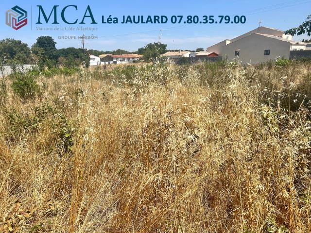 Terrain 313 m2 anais