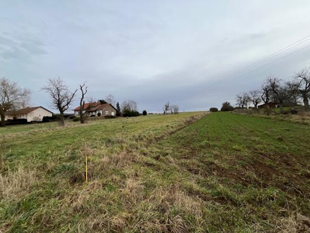 Terrain 3100 m2